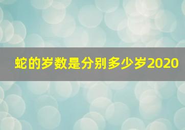 蛇的岁数是分别多少岁2020