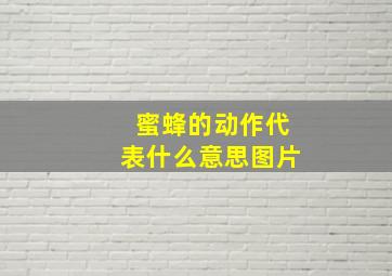 蜜蜂的动作代表什么意思图片