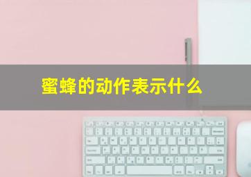 蜜蜂的动作表示什么