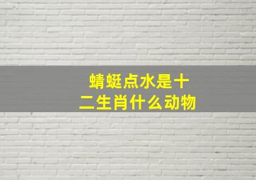 蜻蜓点水是十二生肖什么动物