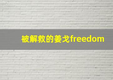 被解救的姜戈freedom