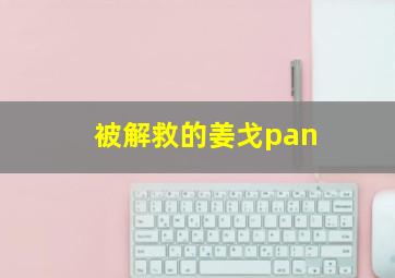 被解救的姜戈pan