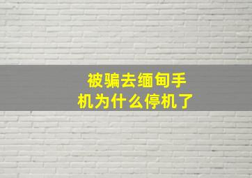 被骗去缅甸手机为什么停机了