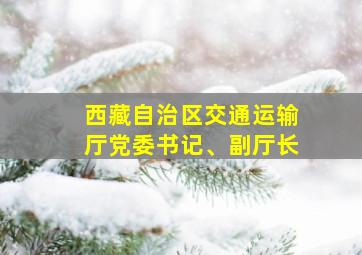 西藏自治区交通运输厅党委书记、副厅长