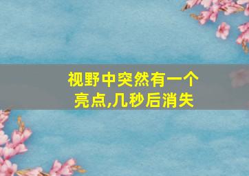 视野中突然有一个亮点,几秒后消失