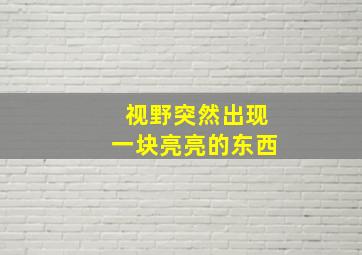 视野突然出现一块亮亮的东西