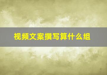 视频文案撰写算什么组