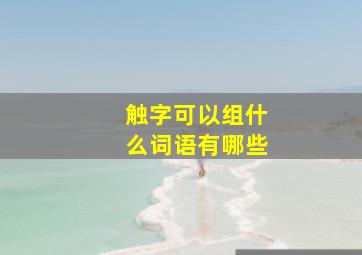 触字可以组什么词语有哪些