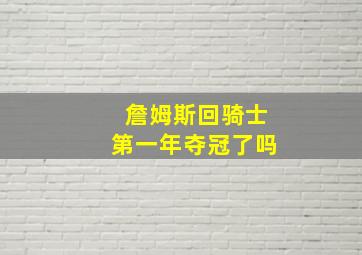 詹姆斯回骑士第一年夺冠了吗