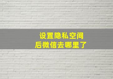 设置隐私空间后微信去哪里了