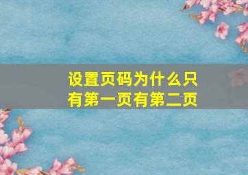 设置页码为什么只有第一页有第二页