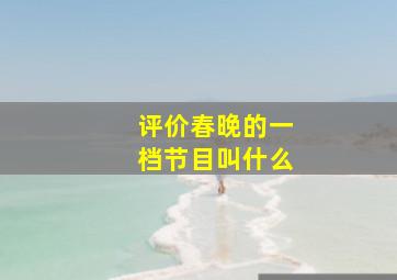 评价春晚的一档节目叫什么