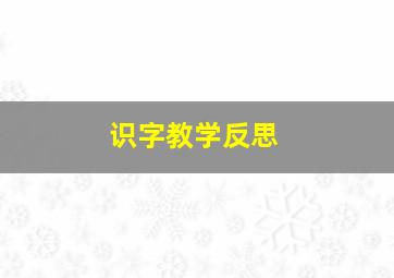 识字教学反思