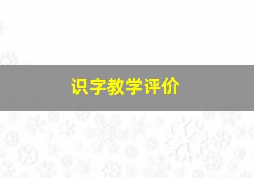 识字教学评价