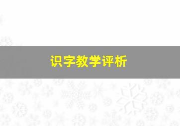 识字教学评析