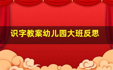 识字教案幼儿园大班反思