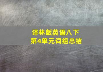 译林版英语八下第4单元词组总结