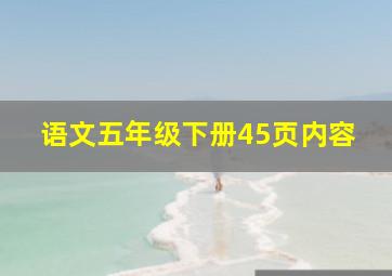 语文五年级下册45页内容