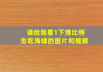 请给我看1下博比特虫吃海螺的图片和视频