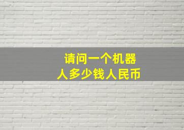 请问一个机器人多少钱人民币