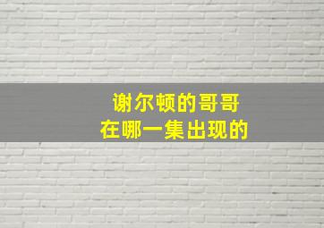 谢尔顿的哥哥在哪一集出现的