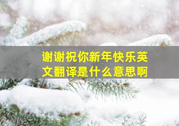 谢谢祝你新年快乐英文翻译是什么意思啊