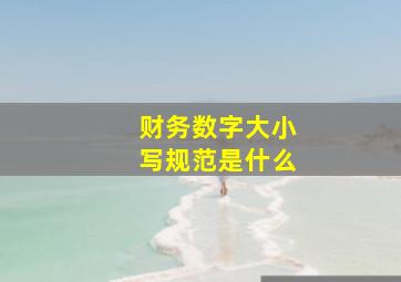 财务数字大小写规范是什么