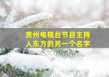 贵州电视台节目主持人东方的另一个名字