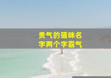 贵气的猫咪名字两个字霸气