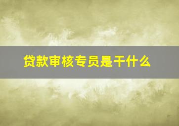 贷款审核专员是干什么