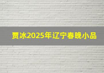 贾冰2025年辽宁春晚小品