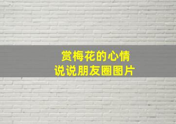 赏梅花的心情说说朋友圈图片