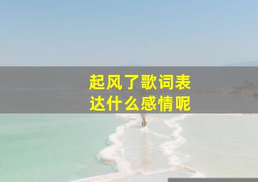 起风了歌词表达什么感情呢