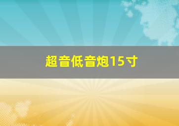 超音低音炮15寸