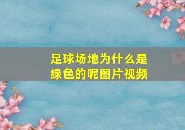 足球场地为什么是绿色的呢图片视频