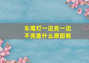 车尾灯一边亮一边不亮是什么原因呢