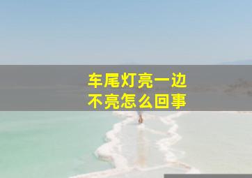 车尾灯亮一边不亮怎么回事