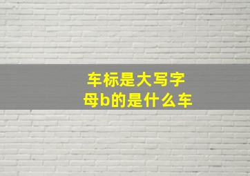 车标是大写字母b的是什么车