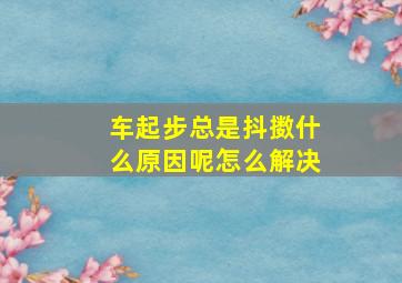 车起步总是抖擞什么原因呢怎么解决