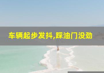 车辆起步发抖,踩油门没劲