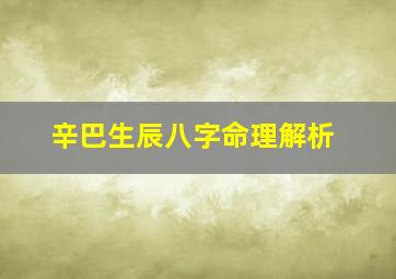 辛巴生辰八字命理解析