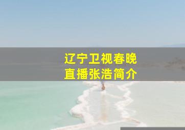 辽宁卫视春晚直播张浩简介