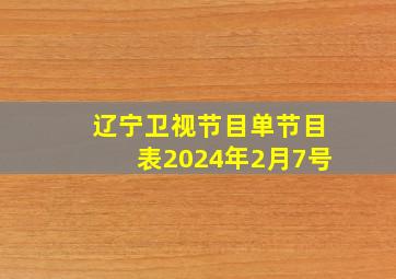 辽宁卫视节目单节目表2024年2月7号