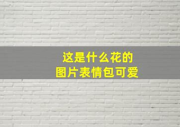 这是什么花的图片表情包可爱