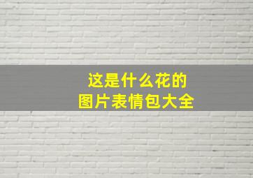 这是什么花的图片表情包大全