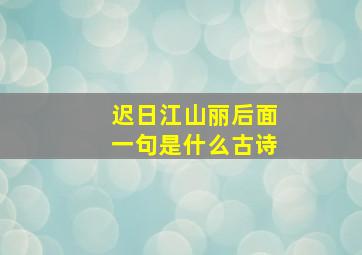 迟日江山丽后面一句是什么古诗