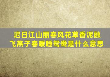 迟日江山丽春风花草香泥融飞燕子春暖睡鸳鸯是什么意思