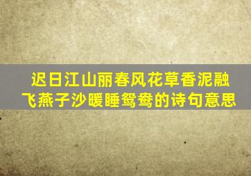 迟日江山丽春风花草香泥融飞燕子沙暖睡鸳鸯的诗句意思