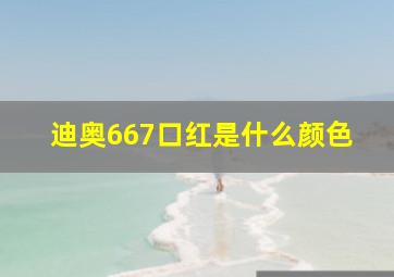 迪奥667口红是什么颜色