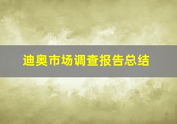 迪奥市场调查报告总结